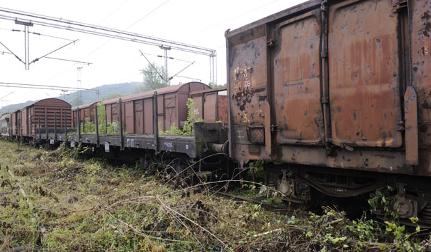 Браћа нападача на Рашу Попова проститутку тукли до смрти